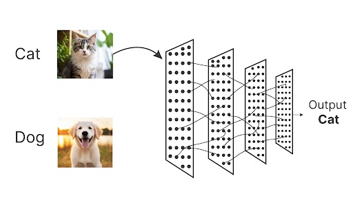 image classification model